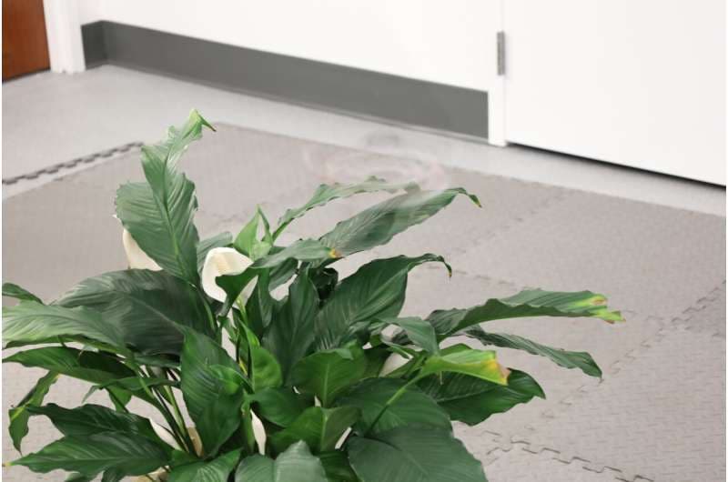 New spinning drone hides in plain sight