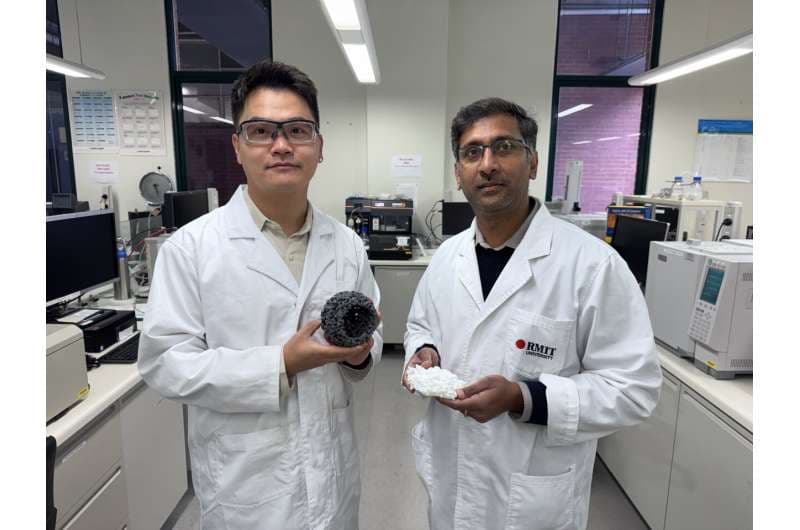 Dr. Derek Hao (izquierda) y el profesor asociado Ravichandar Babarao con un modelo del material de bajo costo y el material precursor utilizado en el estudio. Crédito: Will Wright, RMIT University