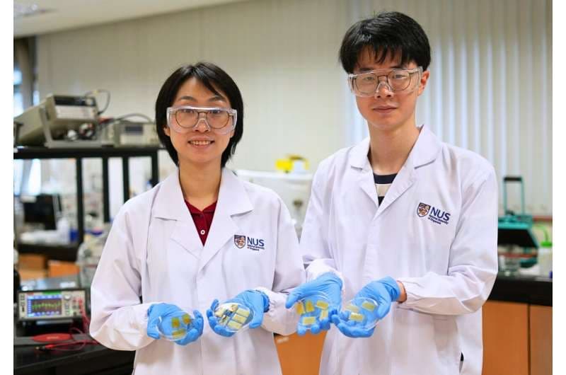 Más que piel: investigadores de NUS desarrollan piel electrónica que detecta, se cura y prospera incluso bajo el agua