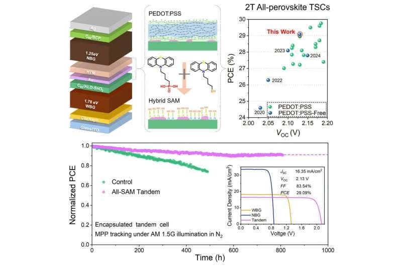 La HKUST mejora el rendimiento y la durabilidad de las celdas solares mediante ingeniería de interfaces moleculares