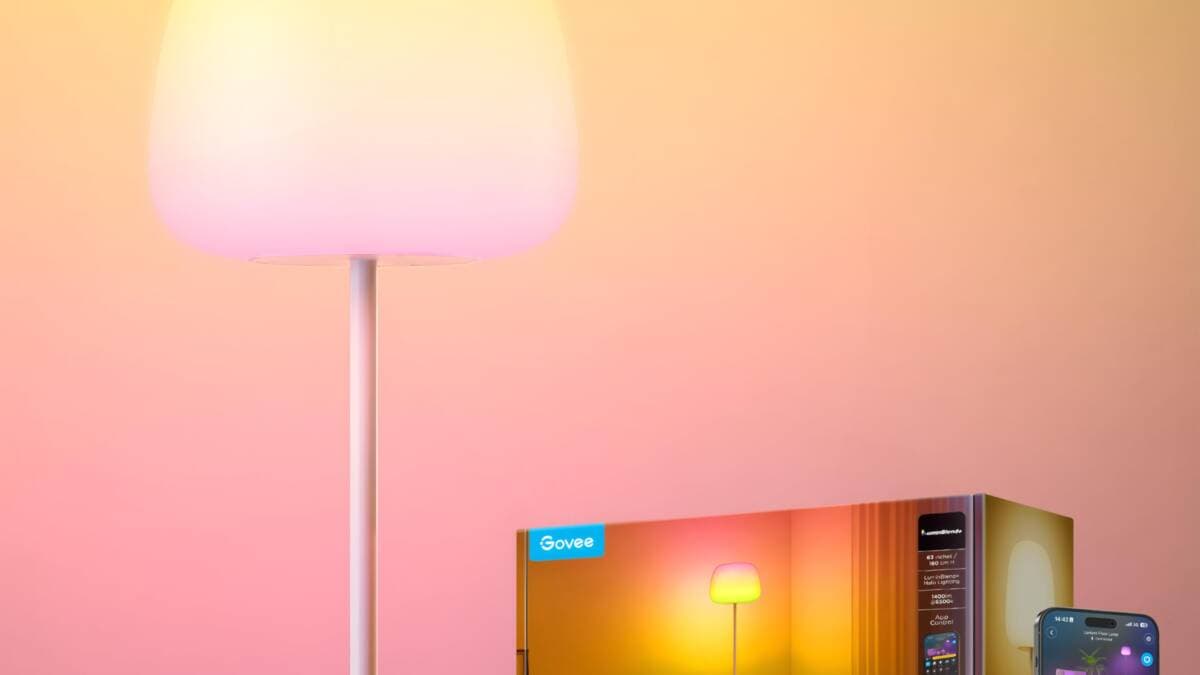 Govee Lantern Floor Lamp light fixture