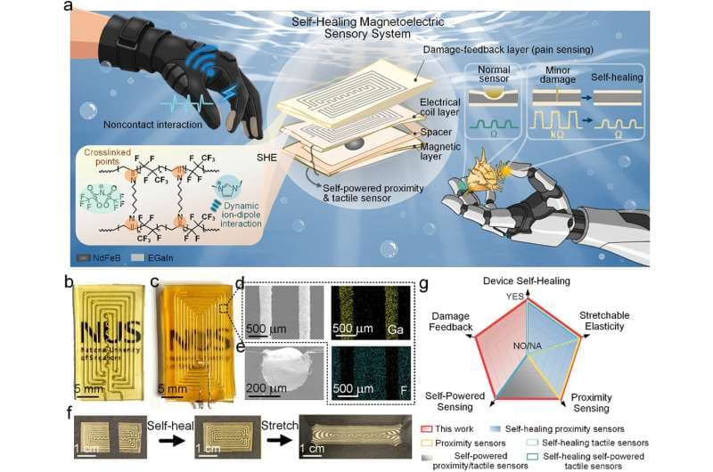 Investigadores desarrollan piel electrónica que detecta, se cura y prospera incluso bajo el agua