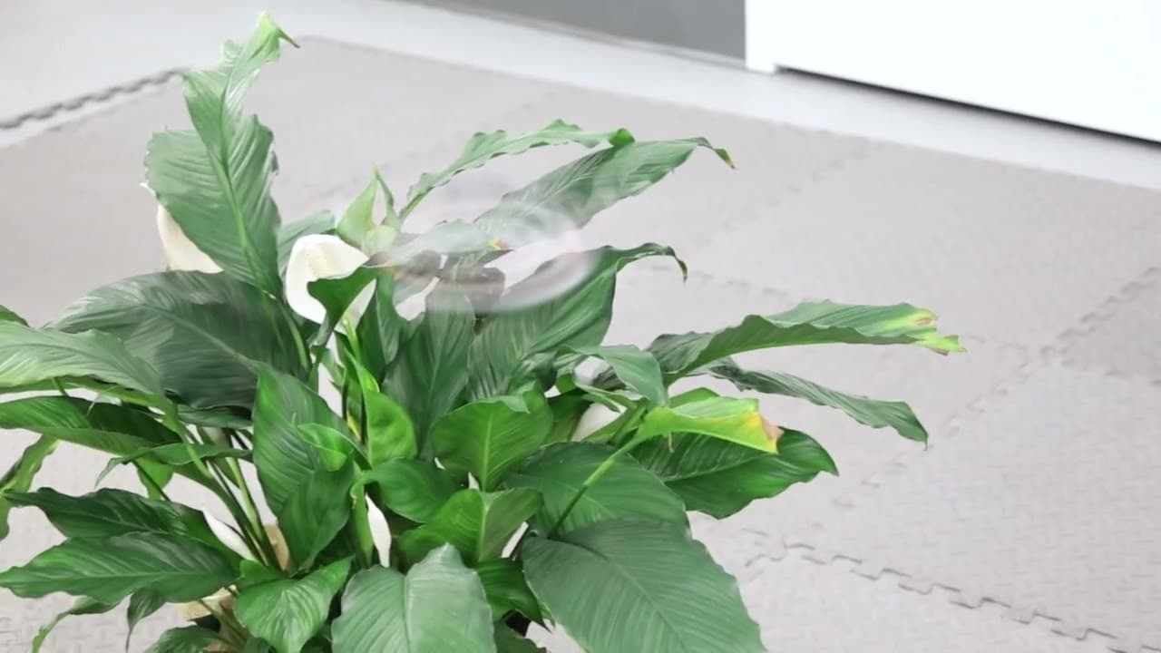 New drone nearly disappears in flight - YouTube